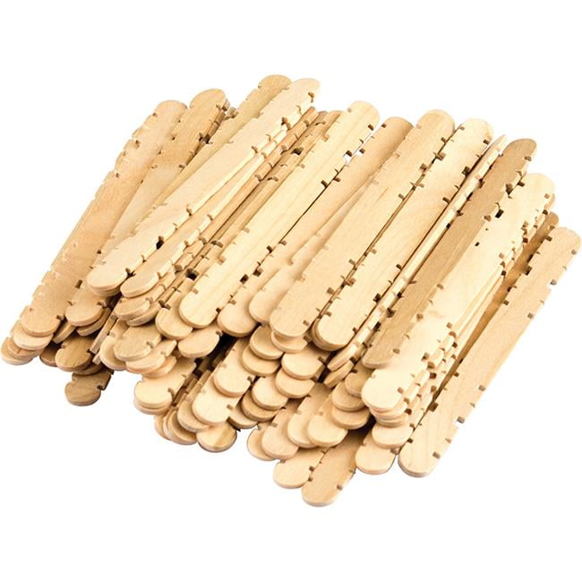 Teacher Created Resources TCR20936 4.5 x 0.12 in. Stem Basics Skill Sticks, 250 Count
