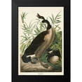 thumbnail image 2 of Audubon, John James 17x24 Black Modern Framed Museum Art Print Titled - Pl 201 Canada Goose, 2 of 5