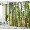 thumbnail image 5 of Ambesonne Nature Shower Curtain, Braches in Spring, 69"Wx75"L, Green Brown, 5 of 5