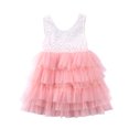 thumbnail image 1 of Kmbangi Petites Filles Robe Sans Manches Dentelle Creuse Dos Multi-Couche Maille TuTu Robe, 1 of 10
