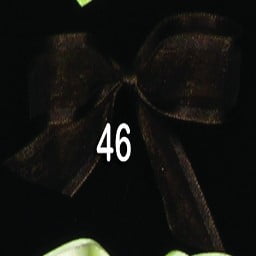 The Ribbon People Espresso Brown Solid Woven Edge Craft Ribbon 1" x 60 Yards