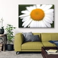 thumbnail image 2 of Cuadro Canva Listo Para Colgar Tipo Galería Margarita Blanca 60X90 cm Pixtreats, 2 of 4