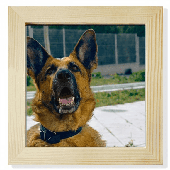 Handsome Dog Pet Photography Picture Square Picture Frame Wall Tabletop Display