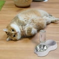 thumbnail image 4 of TIELUTT Cat and Dog Bowls Multifunctional Pet Food and Water Dish Durable Maze Dog Bowl Slow Feeder Slow Dog Feeder Bowl Elevated Steel Dog Bowl Extra Large Slow Cat Feeder Dog Bowls for Small Dogs Bo, 4 of 7