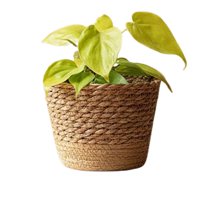 Bxaolu Plant Basket Modern Woven Storage Basket, Planter Basket Indoor, Flower Pots Cover, Plant Containers, Natural(1-Pack,S), Brown