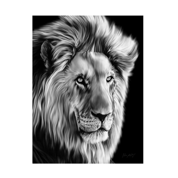 Trademark Fine Art Lord Amihere Leo II Canvas Wall Art