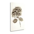 thumbnail image 2 of "Garden Bloom - 2" By Alan Blaustein, Fine Art Giclee Print on Gallery Wrap Canvas, Ready to Hang, 2 of 2