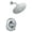 Chrome, variant on Moen T2232EP Chrome Posi-Temp(R) shower only