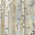 thumbnail image 3 of Jill, Susan 15x15 Black Modern Framed Museum Art Print Titled - Spring Birch Grove, 3 of 5