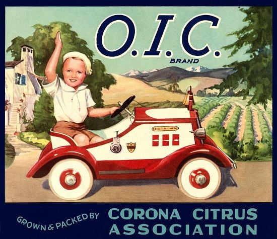 Corona Citrus Littl