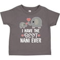 thumbnail image 3 of Inktastic Best Nani Ever Grandchild Boys or Girls Toddler T-Shirt, 3 of 5