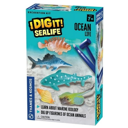 UPC: 0814743016859 | Thames & Kosmos I Dig It Sealife – Ocean Life
