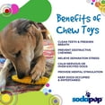 thumbnail image 5 of SP Corn on the Cob Ultra Durable Nylon Dog Chew Toy for Aggressive Chewers, 5 of 8