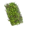 thumbnail image 1 of STARTIST Miniature Vigne Modèle Scène Matériaux de Construction Sandtable Wargame Décor Diorama, 1 of 7