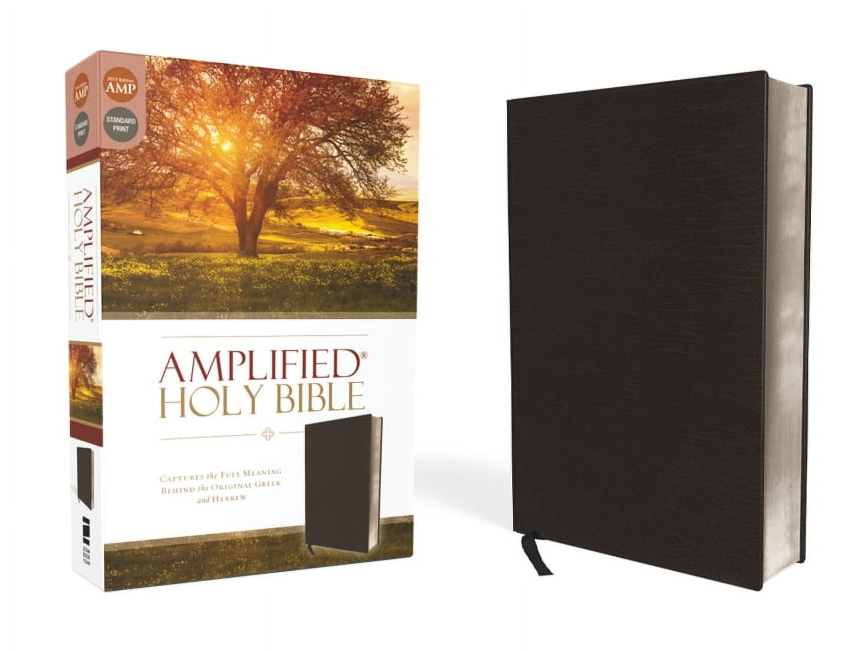 Amplified Bible-Am-Large Print: Captures the Full Meaning Behind