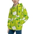 thumbnail image 2 of Fotbe Green Apple Pattern Youth Pullover Hooded Sweatshirt, Boys Hoodie, Kangaroo Pocket Hoodie for Kids Girls -Medium, 2 of 6