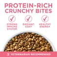 thumbnail image 4 of Purina ONE High Protein, Natural Dry Kitten Food, +Plus Healthy Kitten Formula, 3.5 lb. Bag, 4 of 12