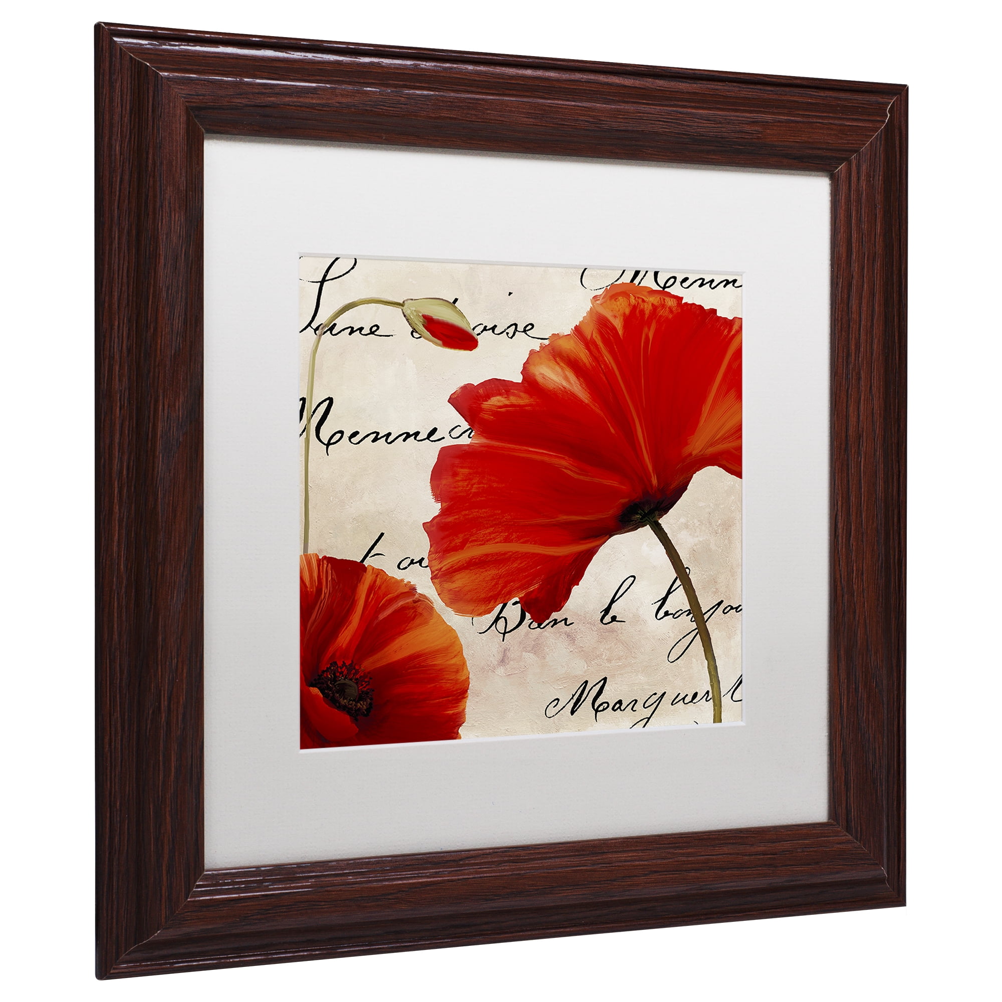 Trademark Fine Art 'Coquelicots Rouge II' Matted Framed Art by Color Bakery