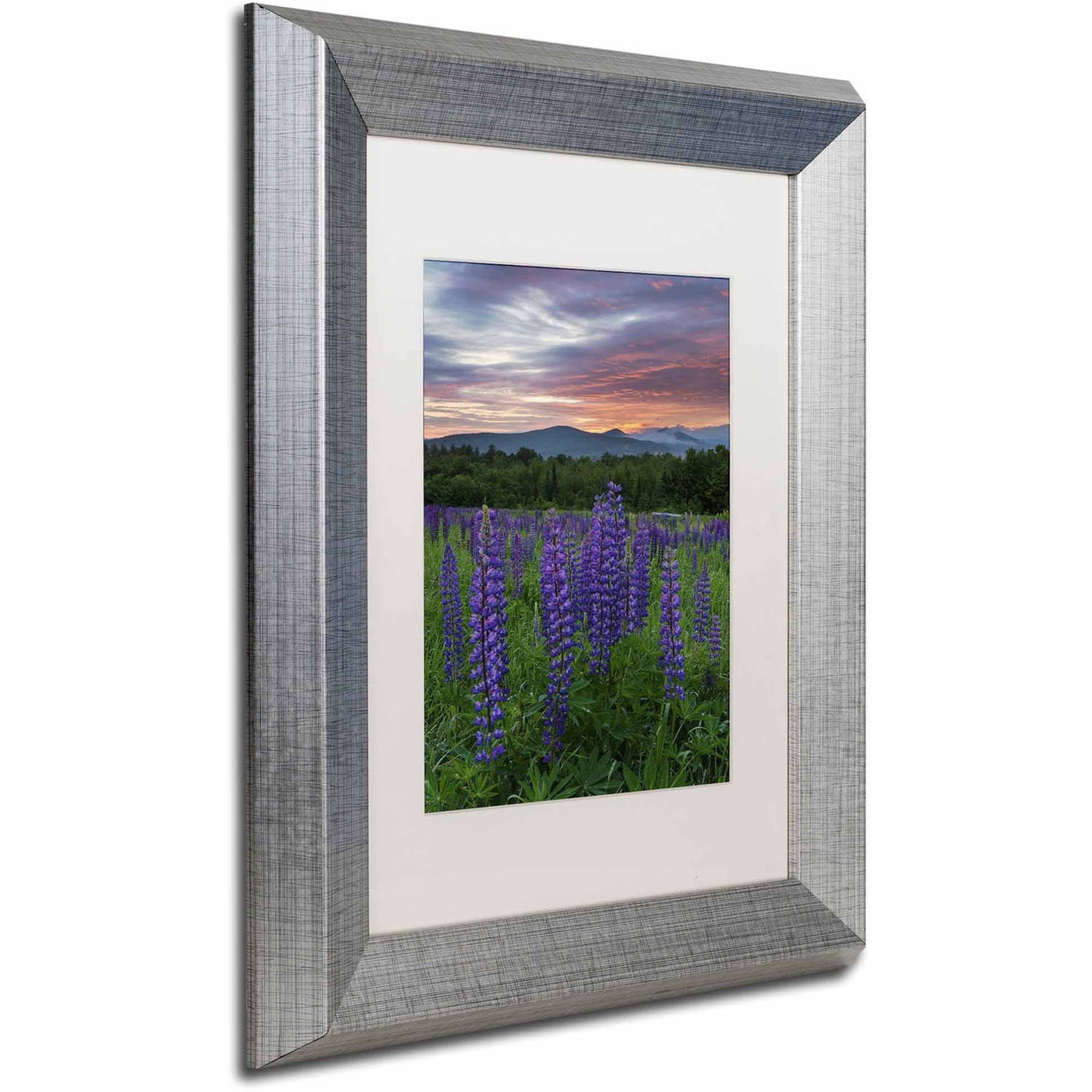 Trademark Fine Art 'Fire in the Sky' Canvas Art by Michael Blanchette Photography, White Matte, Silver Frame
