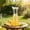 Clear #2, variant on Large Capacity Acrylic Water Pitcher with Lid - Clear Juice Jug Drink Container for Lemonade Iced Tea Beverage - Shatter Resistant Pitcher for Home Kitchen Fridge Bar Party - 2 Size Options