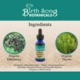 thumbnail image 5 of Birth Song Botanicals Children's Elderberry Respiratory Support Tincture, Herbal Immune Support, 1 oz, 5 of 7