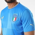 thumbnail image 3 of Jersey Playera Puma de La Selección de Italia de Local Para Hombre, 3 of 4
