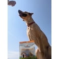 thumbnail image 6 of True Pets Freeze-Dried Chicken Breast Dog Treats, 2 oz. Bag, 6 of 6