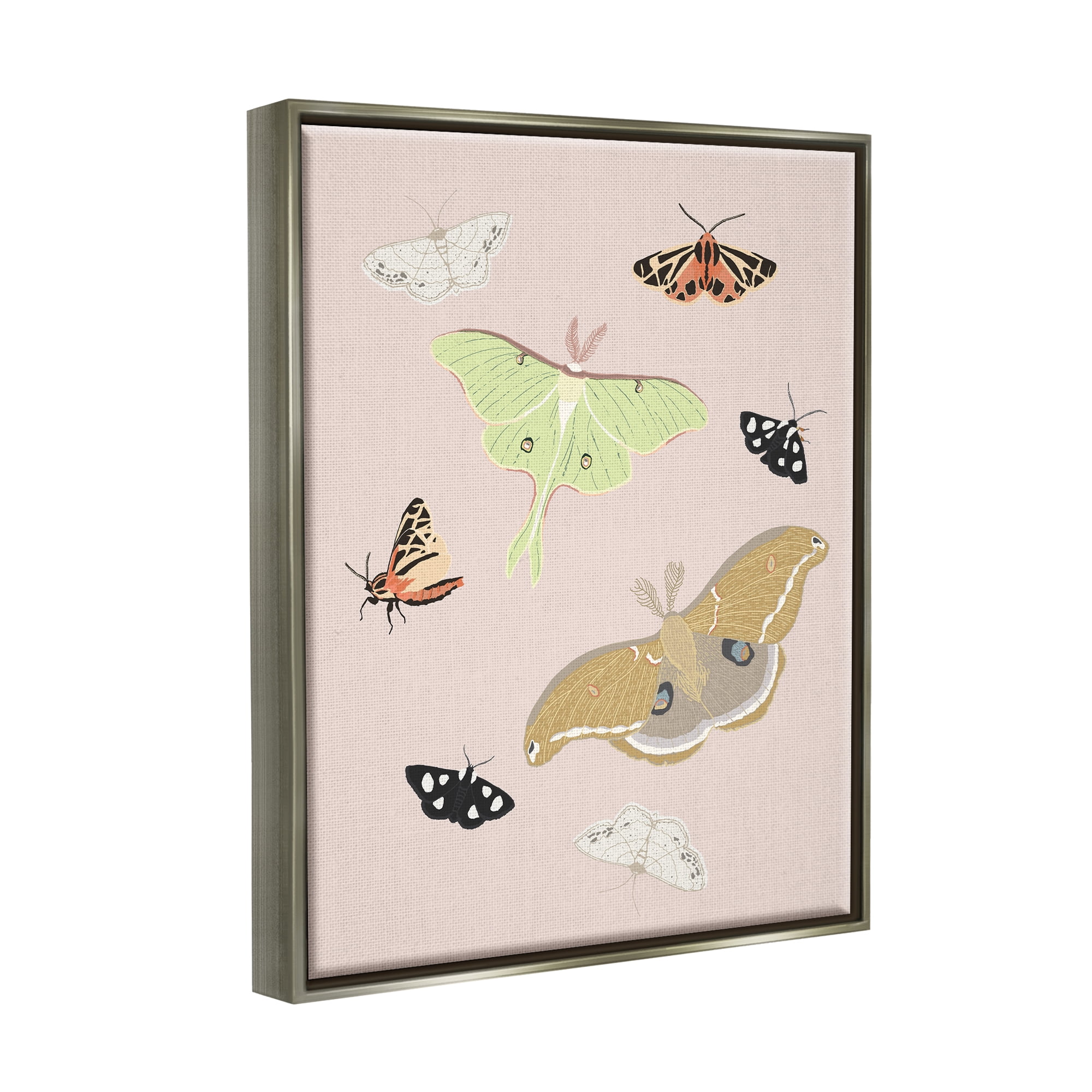 Stupell Industries Moths & Butterflies on Pink Animals & Insects Painting Gray Floater Framed Art Print Wall Art, 25 x 31