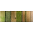 thumbnail image 2 of Crop Rows Triptych, 2 of 4