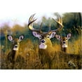 thumbnail image 1 of DM 53 Tapis Imprimés sur Mesure Tapis de Porte Taille18- X 26-, 1 of 1
