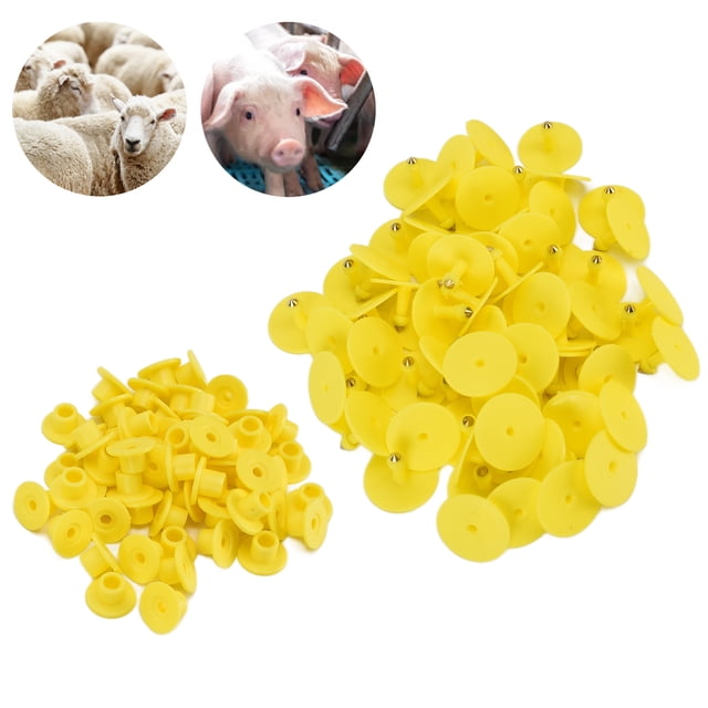 Livestock Ear Tag, Long Term Use Convenient Excellent Toughness Sturdy Animal Round Ear Tags Easy To Distinguish for for Sheep for Green,Yellow,Orange