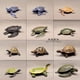 thumbnail image 1 of Miniatures Sea Animal Model Leatherback Red-eared Turtle Land Tortoise Oceans World Aquarium Decor Action Figures Figurines ToysA3 He Qiyong unisex, 1 of 1