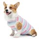 thumbnail image 2 of Traje de recuperación para perros para heridas abdominales oenfermedades de la piel, transpirable para perros, alternativa al collar electrónico después de la cirugía, antilamer heridas. (Pink L) PenghuiLiu 9024719113173, 2 of 5