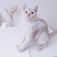 thumbnail image 3 of Reheyre Flower Pattern Pet Bandana Costume - Breathable Lace Bib for Dogs and Cats - Holiday Dress-up, 3 of 8