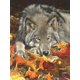 thumbnail image 1 of Ceaco - Wolf's Contemplation - 500 Piece Jigsaw Puzzle, 1 of 1