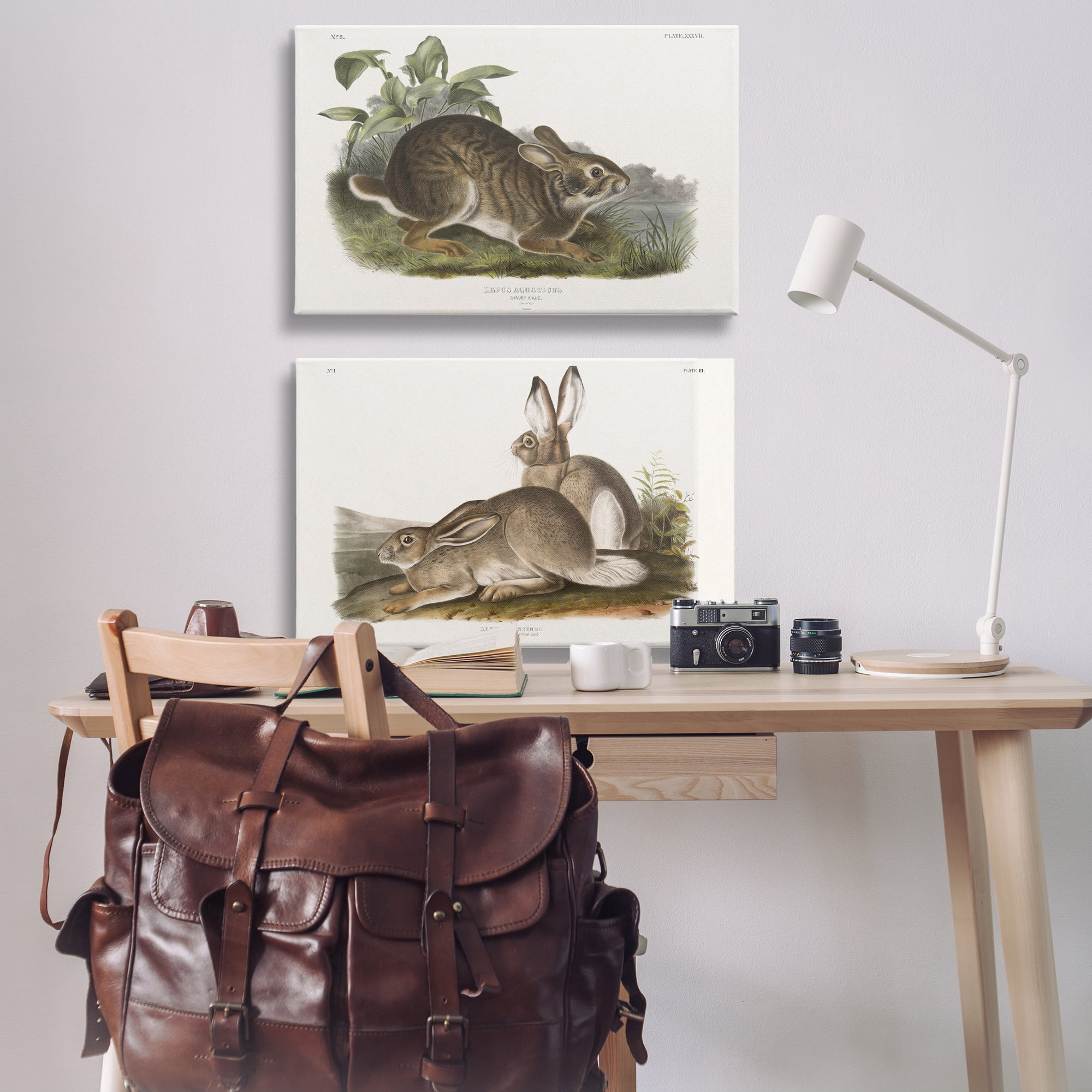 Stupell Industries Gentle Resting Cottage Rabbit Animals Painting Wrapped Canvas Art Print Wall Art, 36 x 24, Set of 2