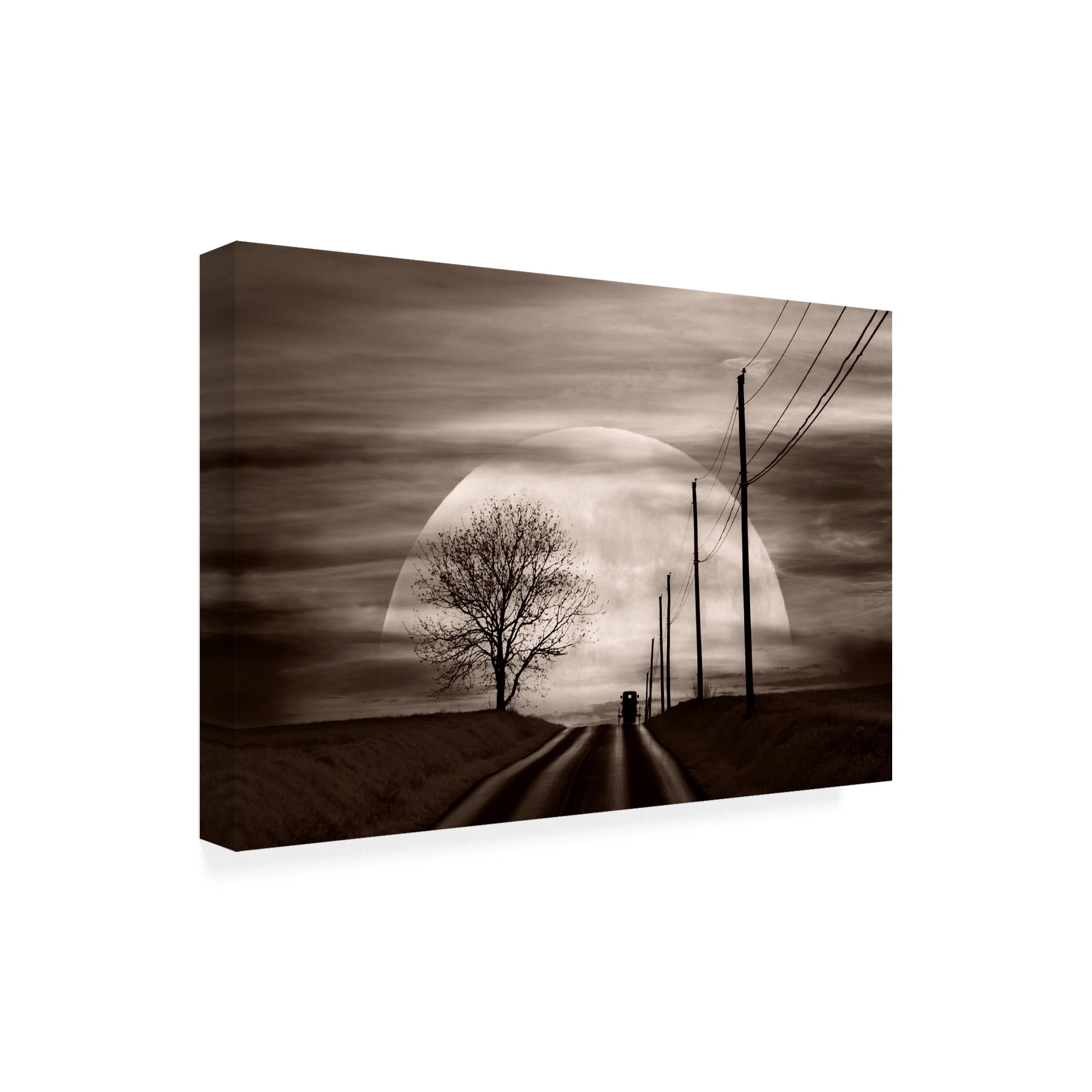 Trademark Fine Art 'Heading Home Moon' Canvas Art by Monte Nagler