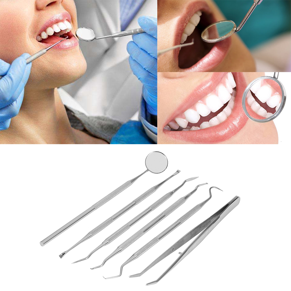 Herwey 6pcs/Set Professional Handle Stainless Dentist Teeth Explorer