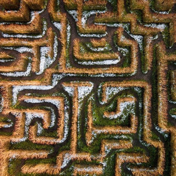 Marmont Hill "Earth Maze" by Karolis Janulis Painting Print on Wrapped Canvas