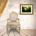 thumbnail image 3 of Zakravsky, Jaroslav 18x13 Gold Ornate Wood Framed with Double Matting Museum Art Print Titled - The Miracle, 3 of 4