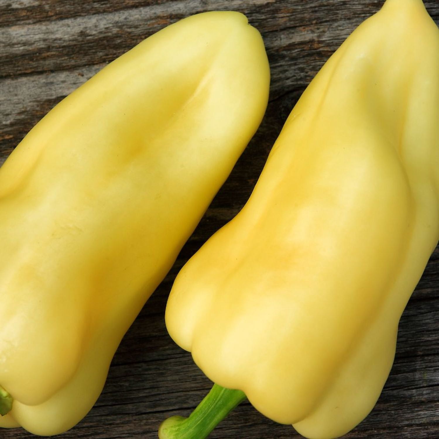Proven Winners 4" Hungarian Hot Wax Pepper Live Plant in 4.25" Pot (4 Count)