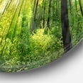 thumbnail image 3 of Designart 'Forest with Rays of Sun Panorama ' Modern wall clock, 3 of 6