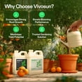 thumbnail image 2 of VIVOSUN Liquid Nutrients Base A & B Bundle, Grow Big Hydroponic Fertilizer, Supports Vegetative and Flowering Stages for Outdoor, Indoor Plants, Best Plant Food, Set of Quarts, 2 of 8