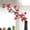 Hot Pink, variant on Littleplum 1 pcs Artificial Cherry Blossom Branches,24 Inch Long Stem Silk Plum Blossom with Buds,Realistic Japanese Apricot for Home Decor Centerpiece Wedding Bouquet,for New Year,White