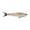Burnt Bone, variant on Berkley PowerBait® Nessie Fishing Bait, Hickory Shad, 7 in, Soft Swimbait