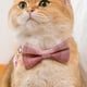 thumbnail image 3 of Accesorios para collares de corbata para mascotas | pajarita de caza interesante para perros y gatos | hermosa, cómoda y duradera, 3 of 5