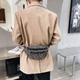 thumbnail image 4 of Fashion Women Flannel Leopard Print Crossbody Bag Casual Waist Packs (02), 4 of 9
