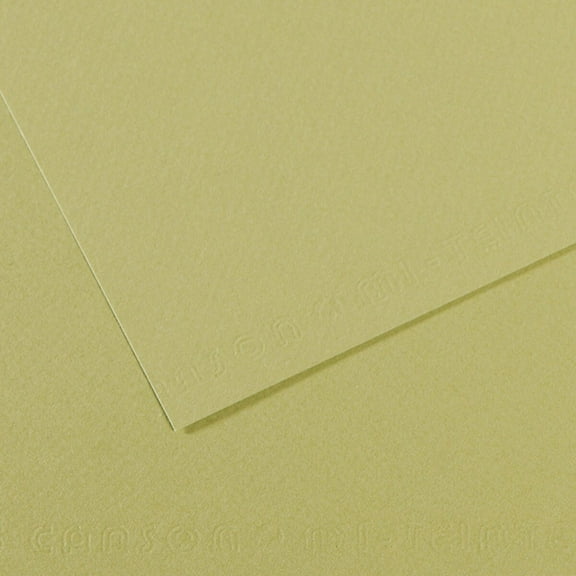 Canson Mi-Teintes Drawing Papers - 8-1/2" x 11", Light Green, 25 Sheets