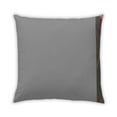 thumbnail image 1 of Ahgly Company Indoor Square Contemporary Throw Pillow, 18 inch by 18 inch, 1 of 5