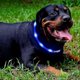 thumbnail image 2 of Led Dog Collar,usb Rechargeable Glowing Dog Collars, Light Up Collar Improved Pet Safety, 2 of 5